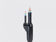 預(yù)分支電纜